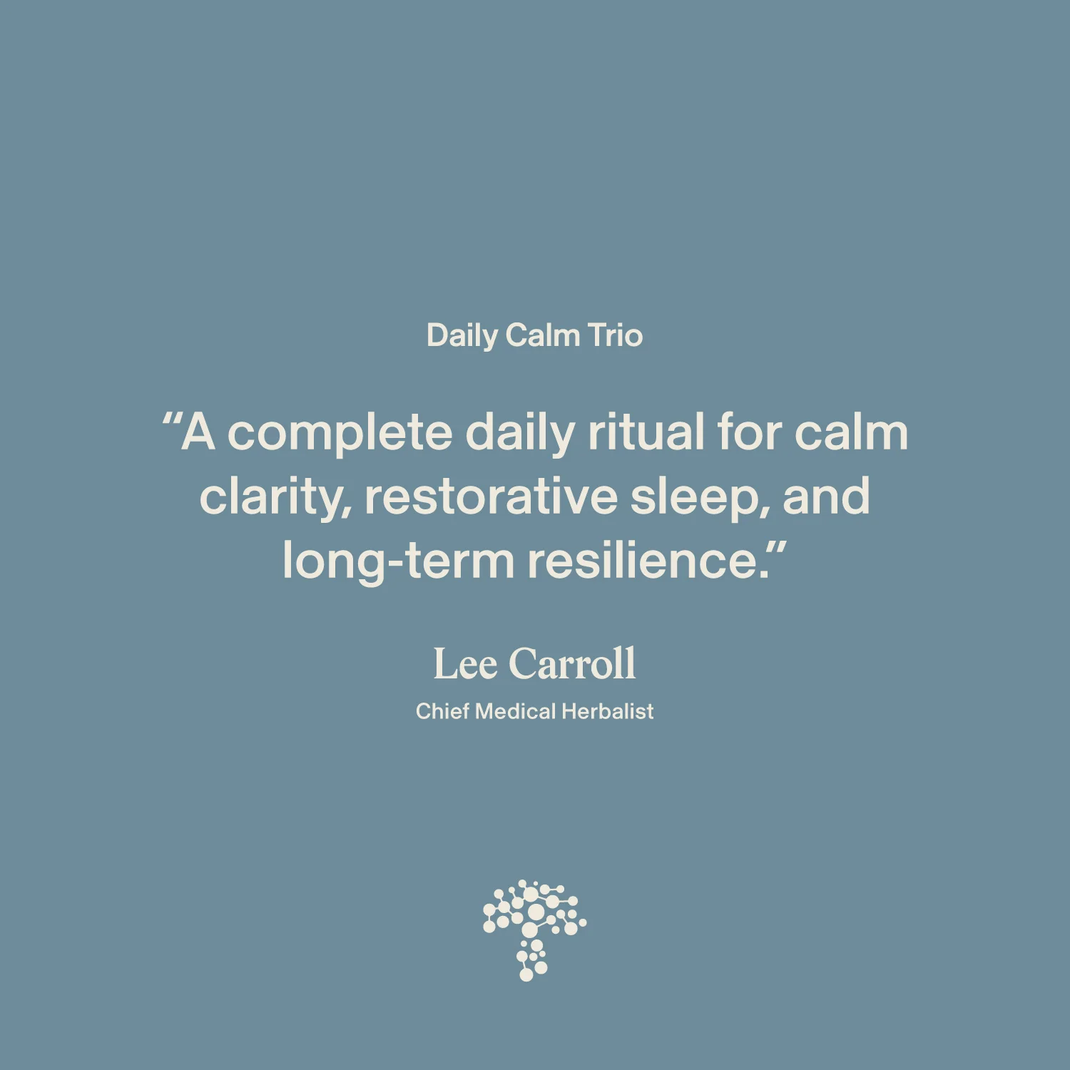 Daily Calm Trio - Image 6