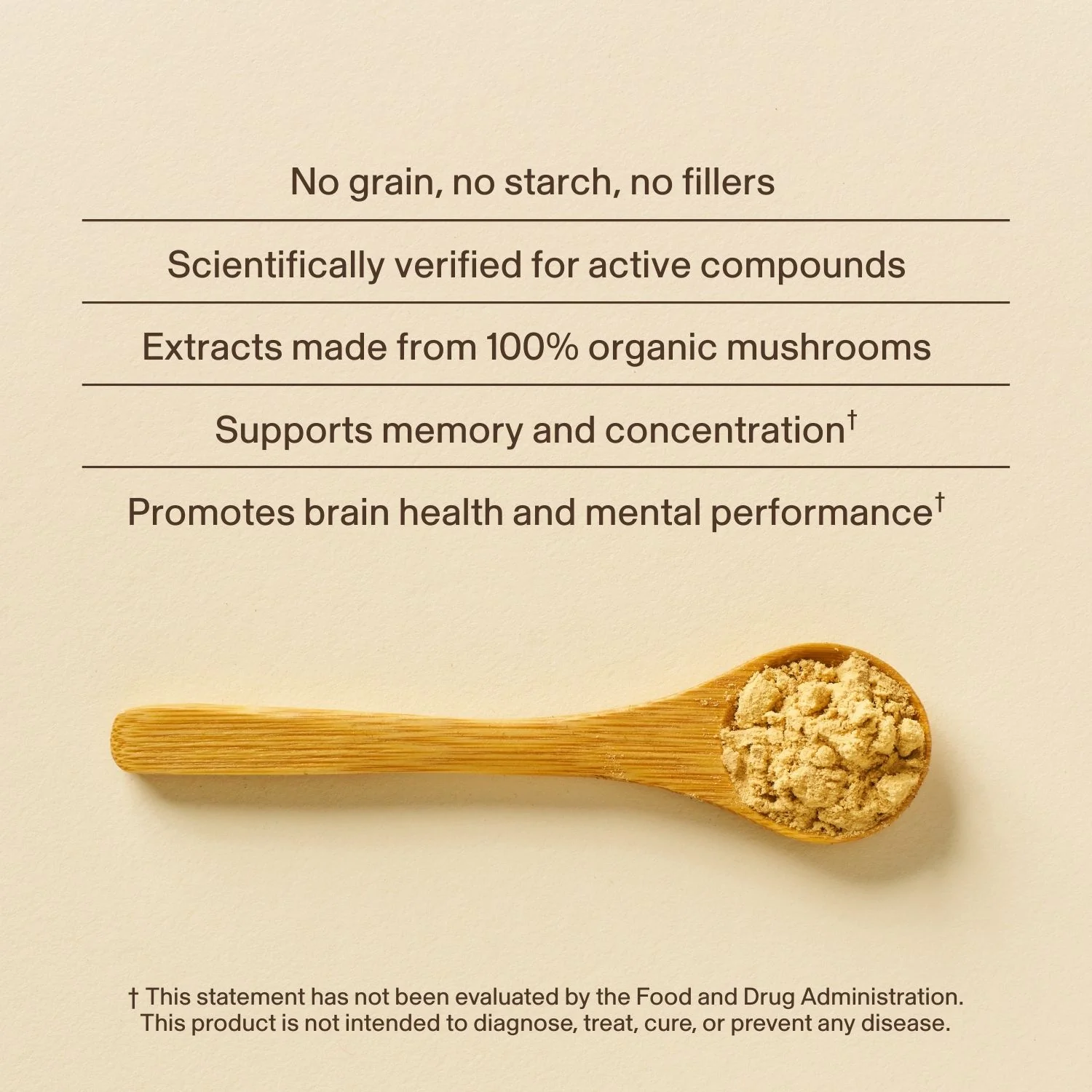 Lion’s Mane Mushroom Powder - Image 5