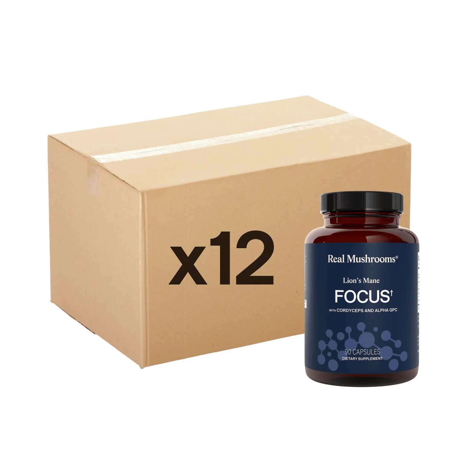 Lion's Mane Focus - 12 Units