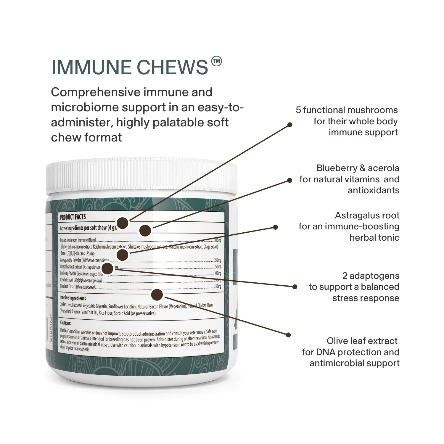 Mushroom Immune Pet Chews - Image 7