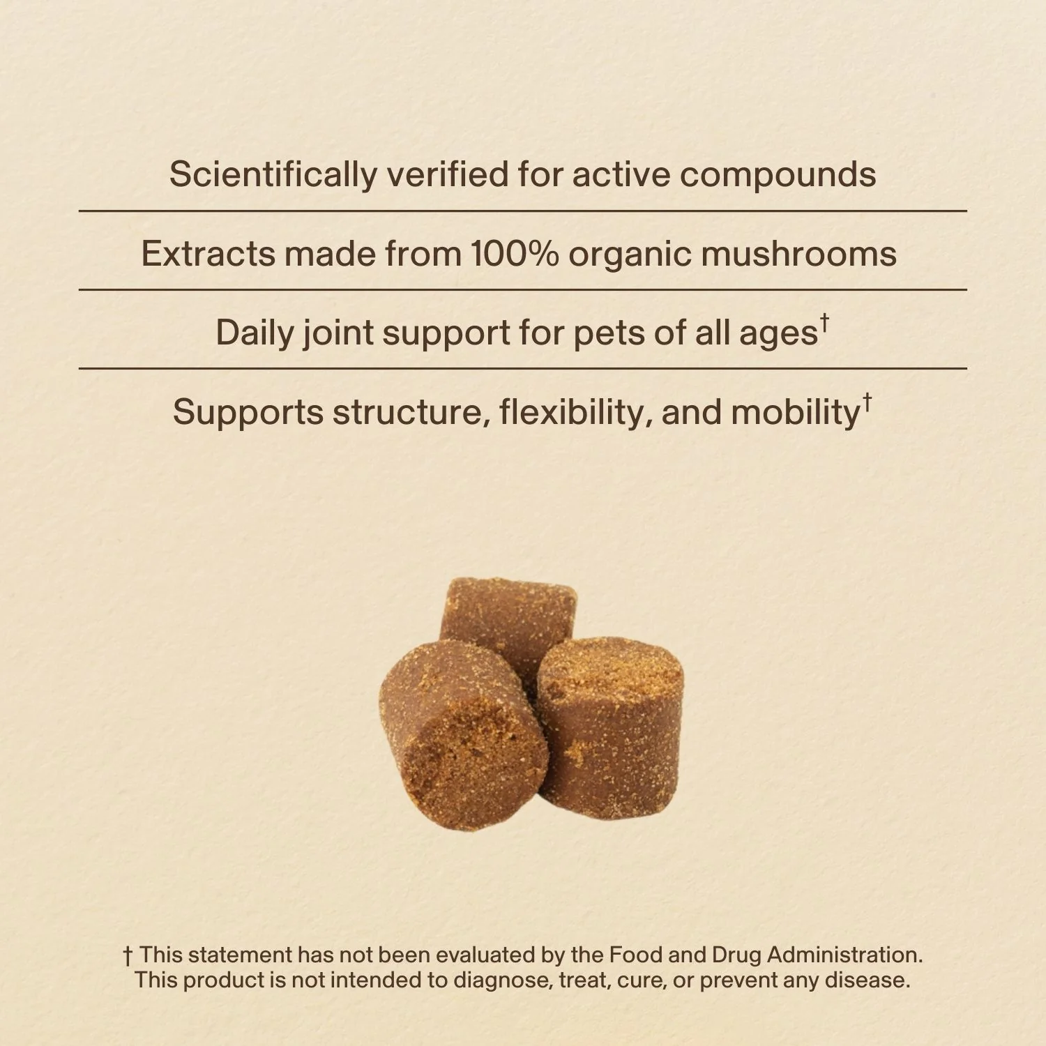 Mushroom Mobility Pet Chews - Image 5