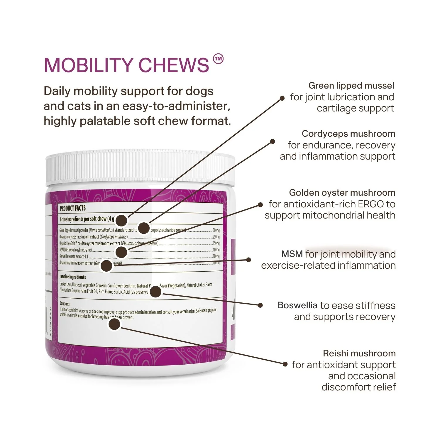 Mushroom Mobility Pet Chews - Image 7