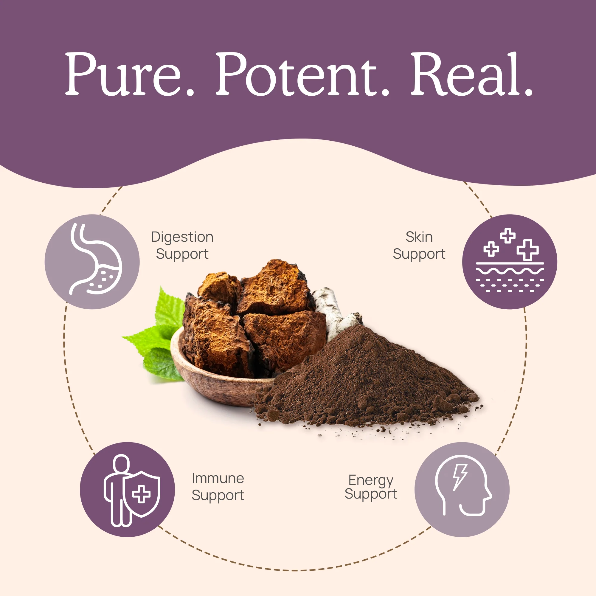 Organic Chaga Extract Powder for Pets - Image 4
