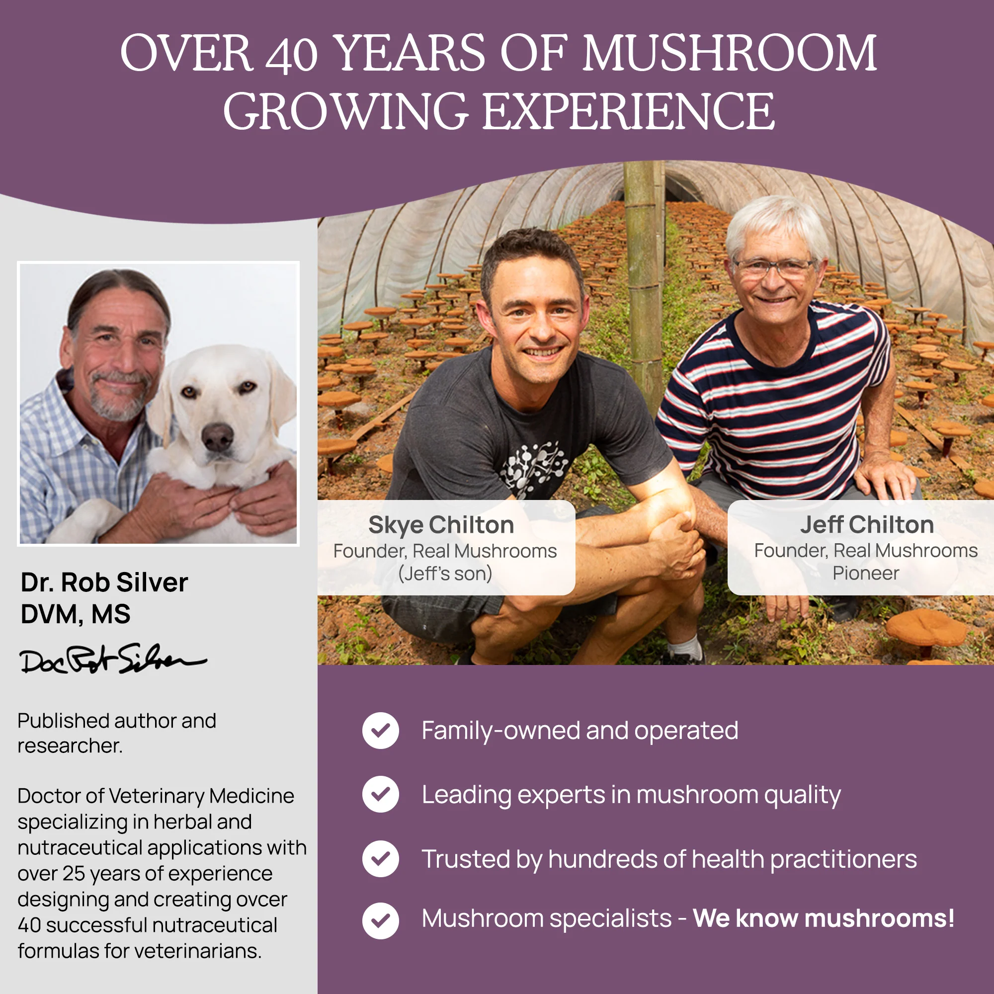Organic Chaga Extract Powder for Pets - Image 5