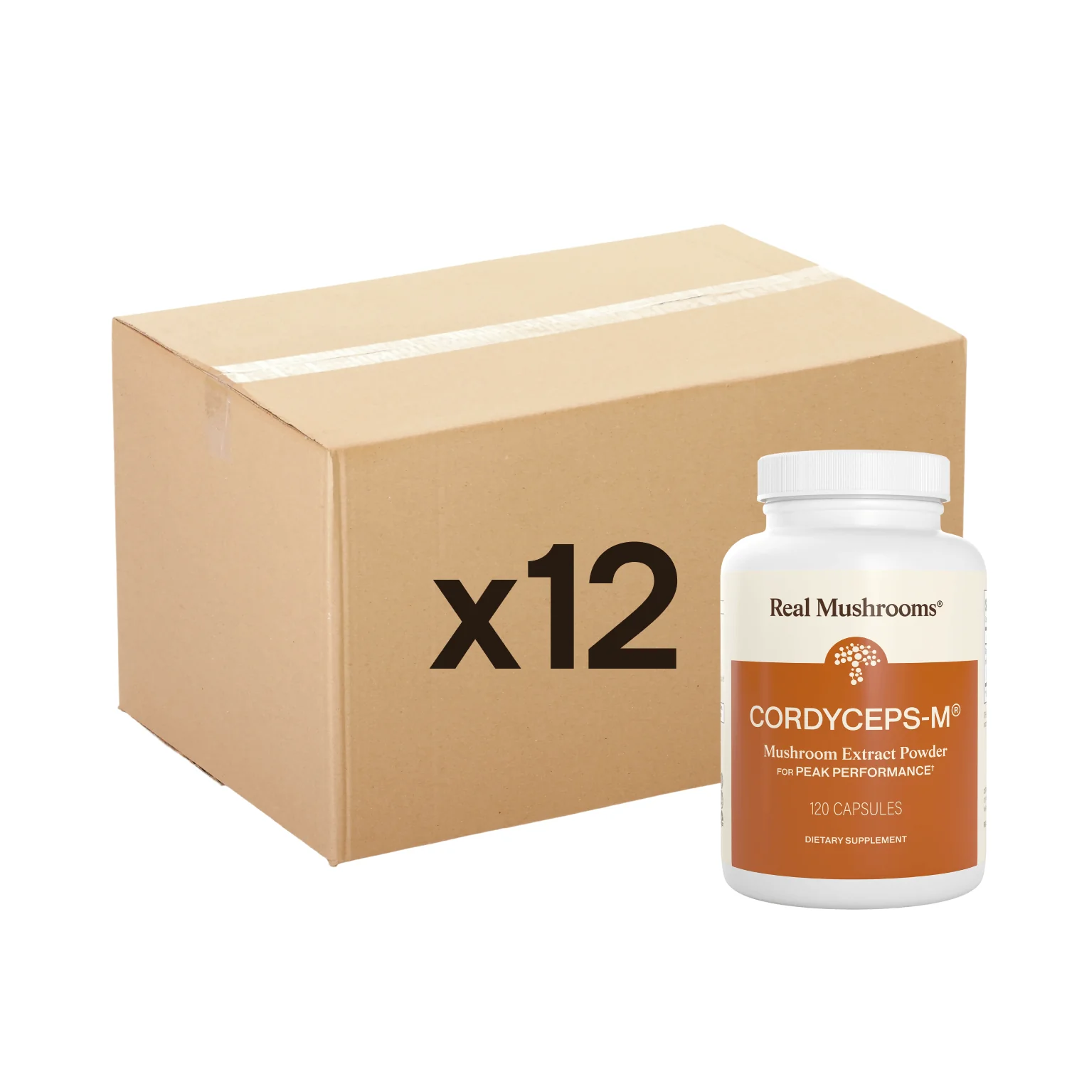 Cordyceps-M® Capsules - 12 Units
