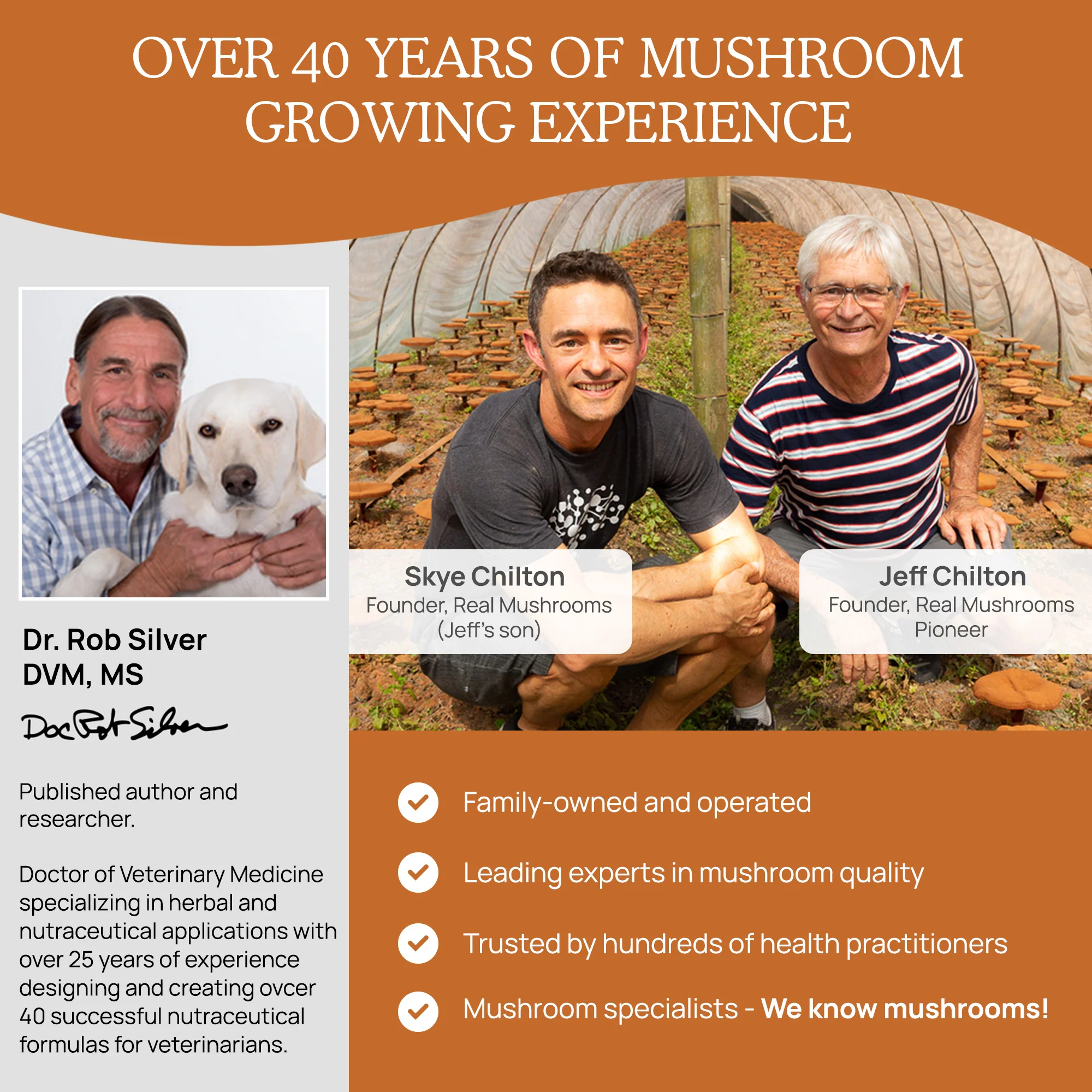 Organic Cordyceps Mushroom Extract Powder for Pets - Image 5