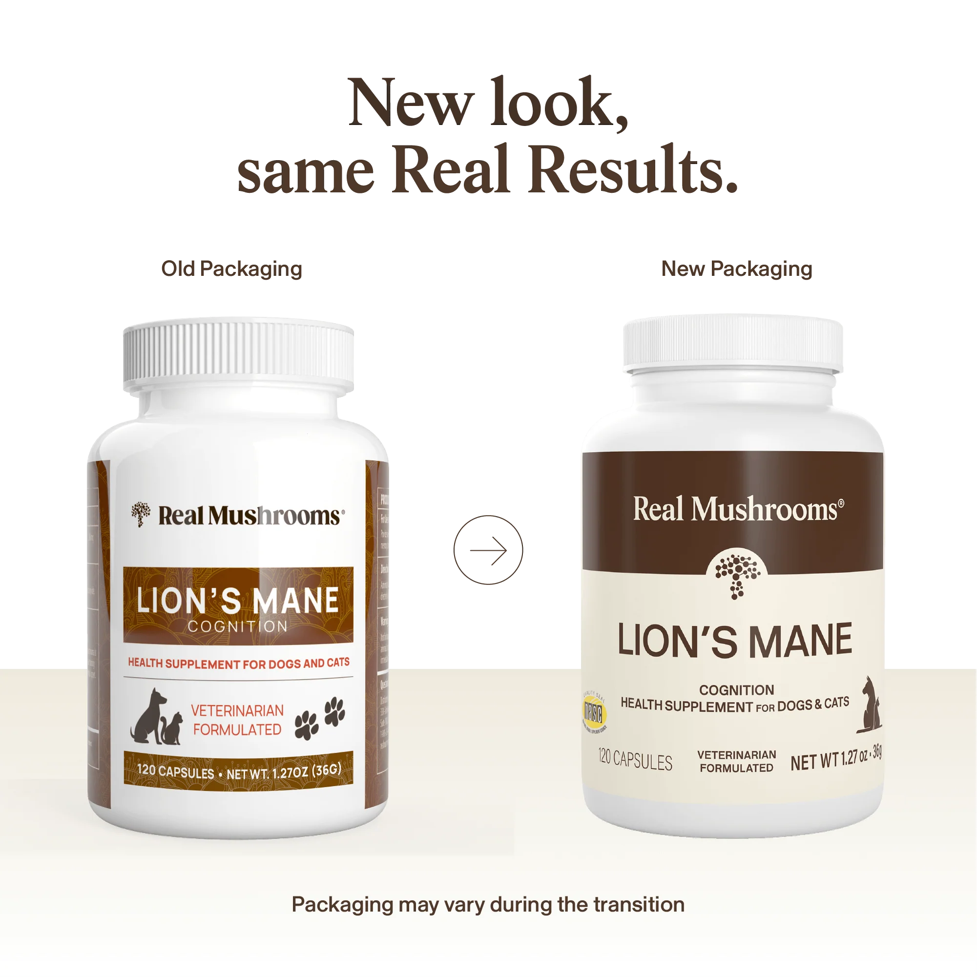 Organic Lion's Mane Extract Capsules for Pets - Image 3