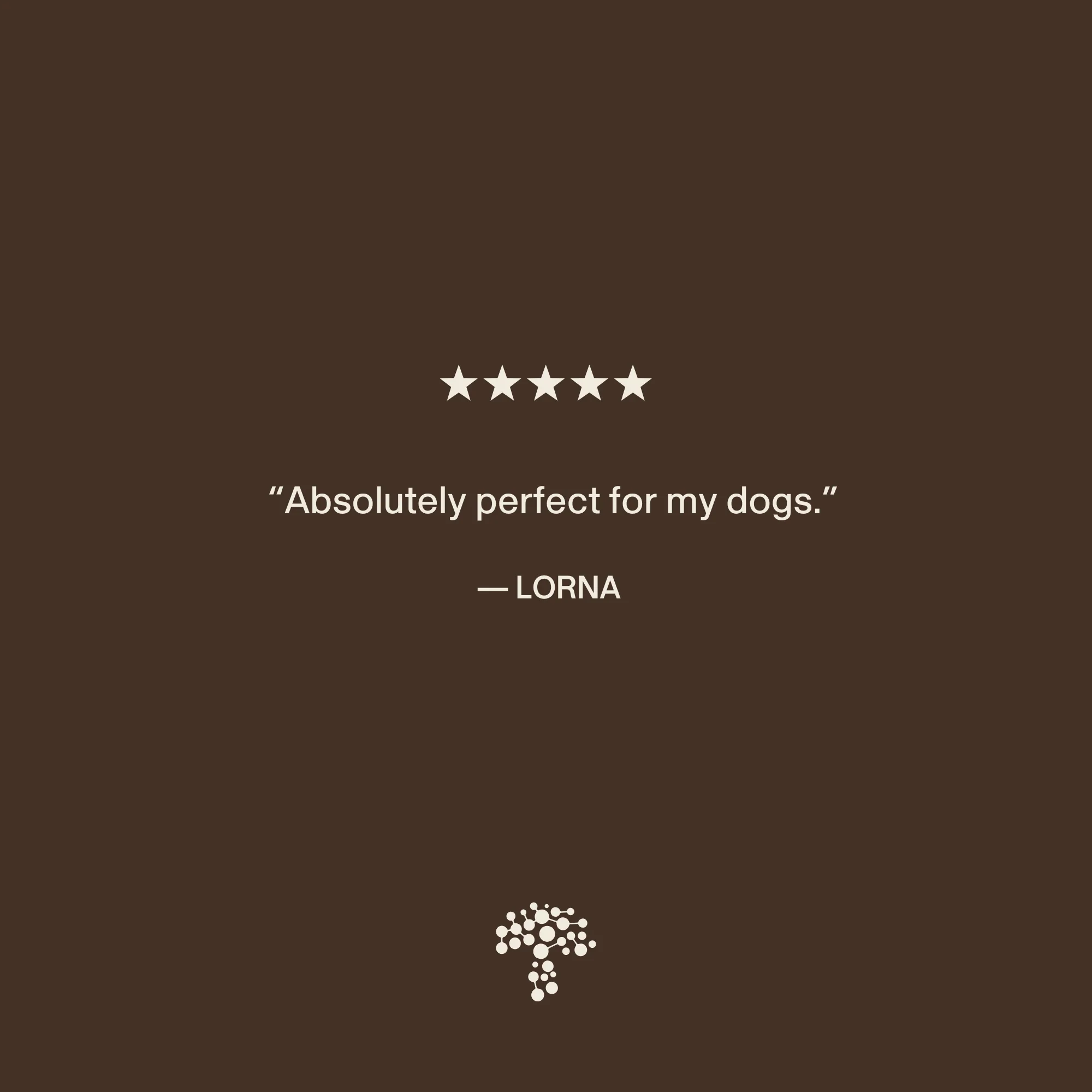 Organic Lion's Mane Extract Capsules for Pets - Image 6