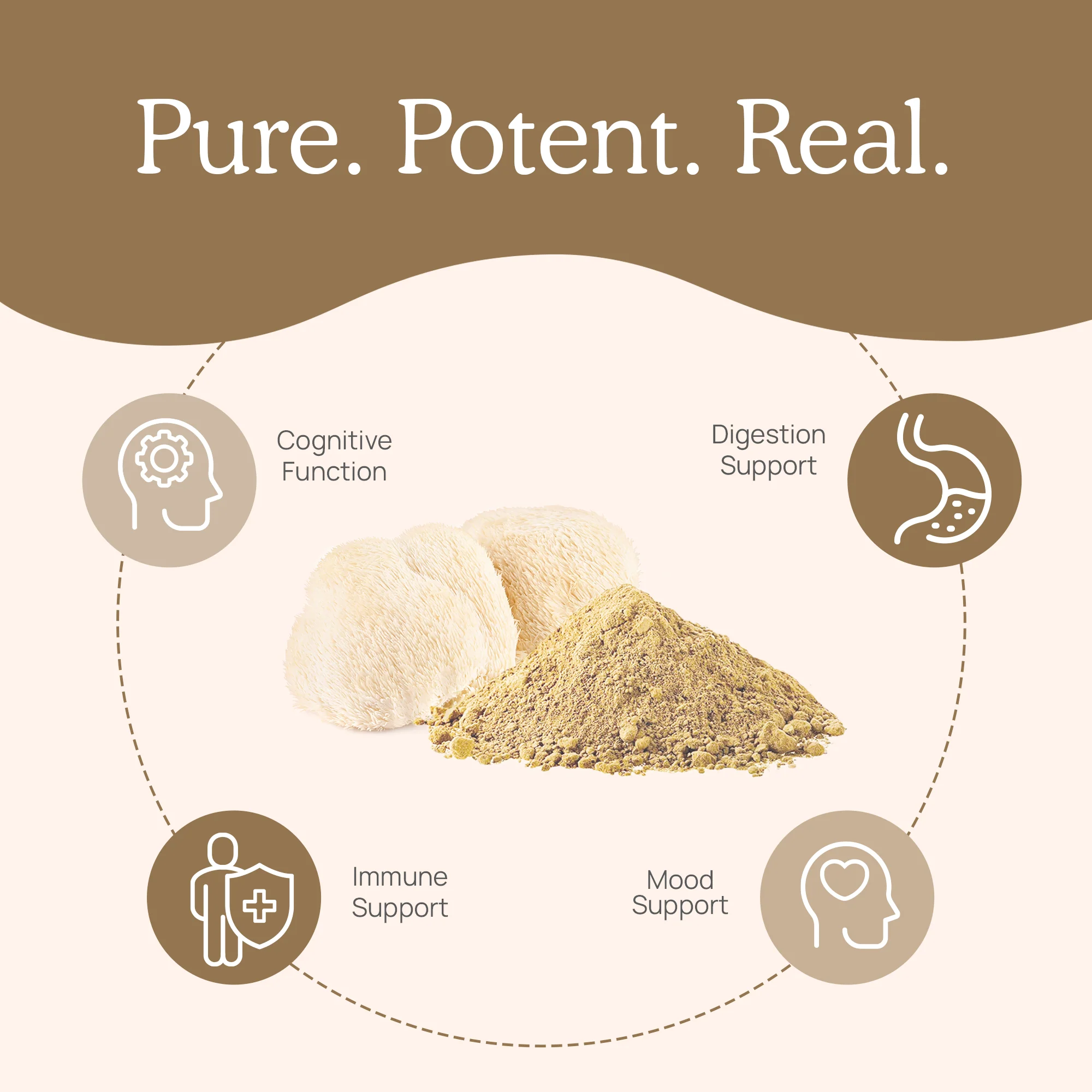 Organic Lions Mane Mushroom Powder for Pets - Image 5