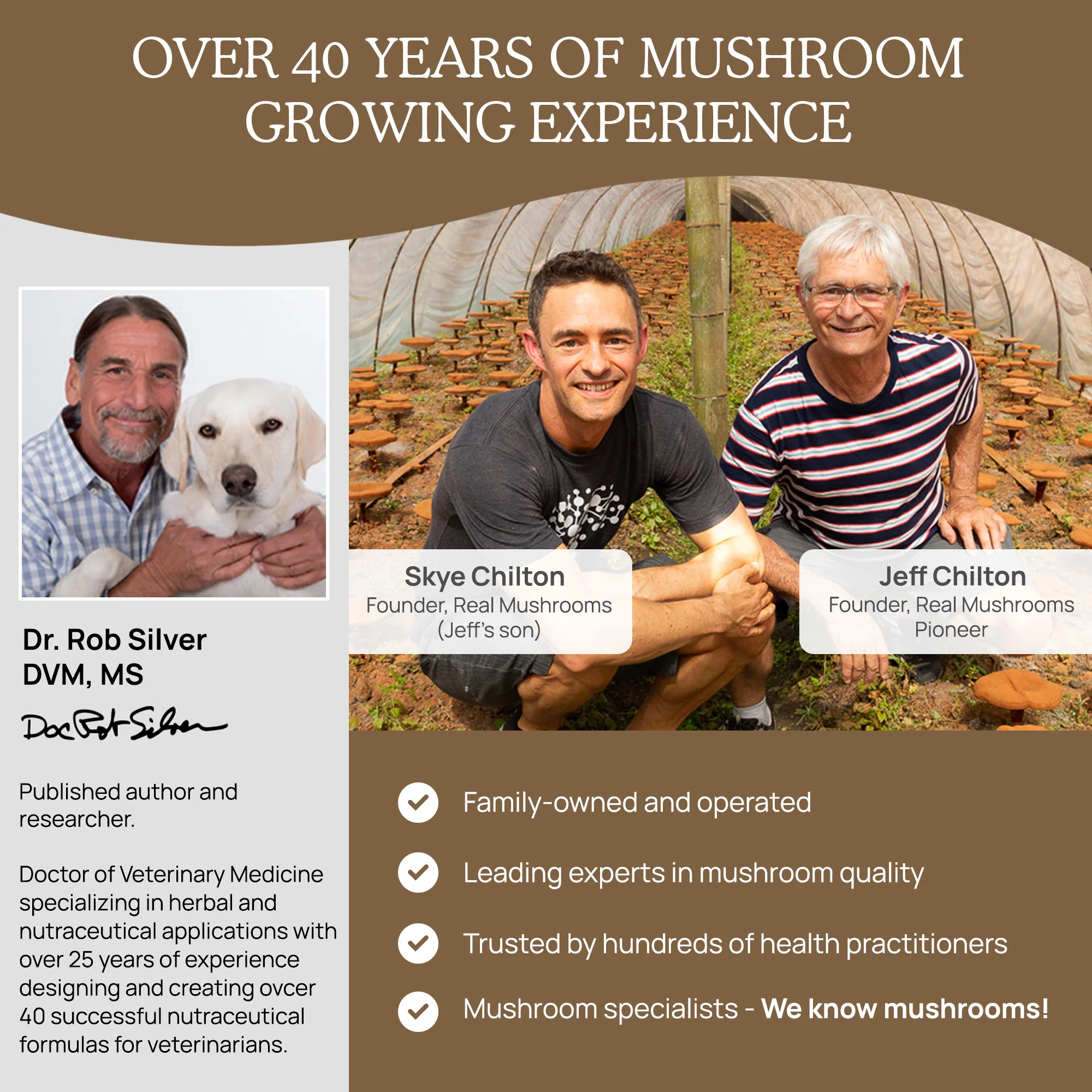 Organic Lions Mane Mushroom Powder for Pets - Image 6