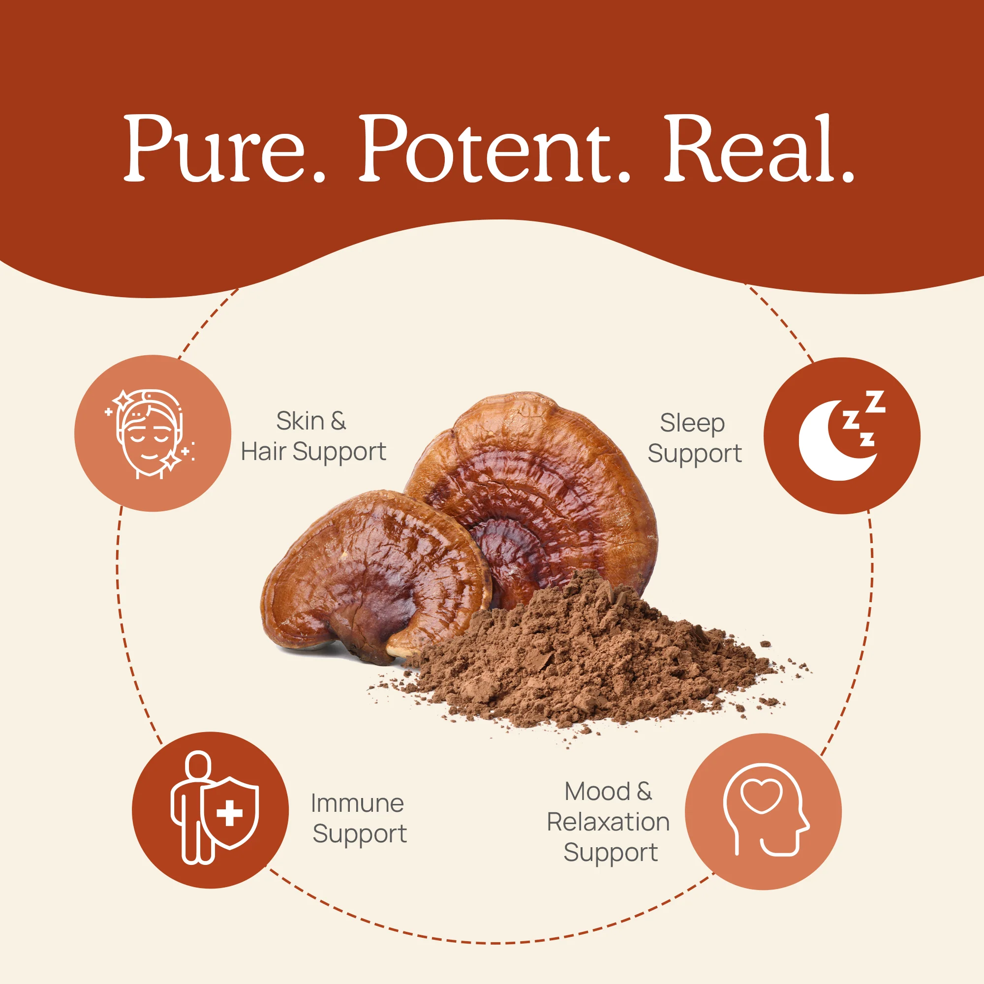 Organic Reishi Mushroom Powder for Pets - Image 6