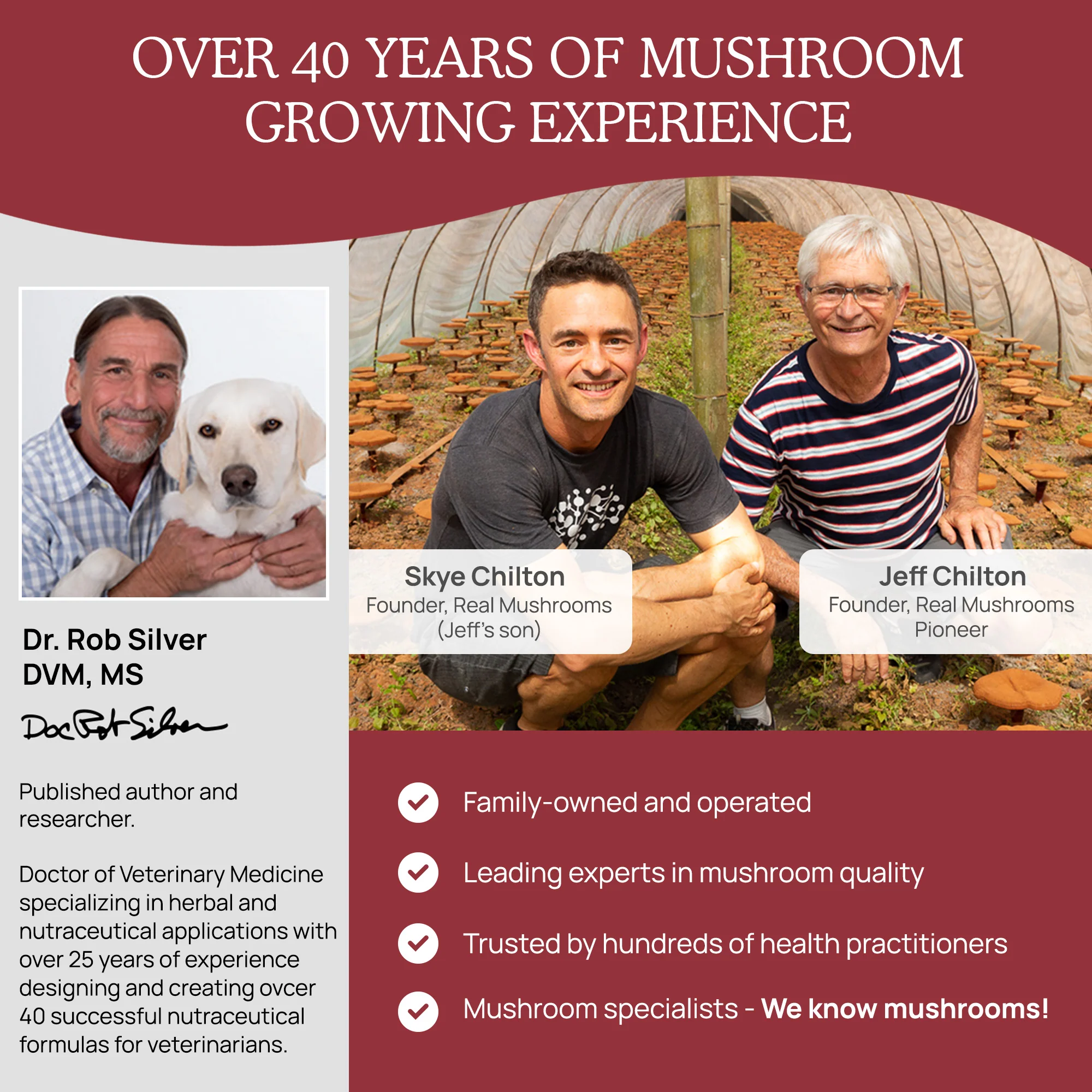Organic Reishi Mushroom Powder for Pets - Image 7