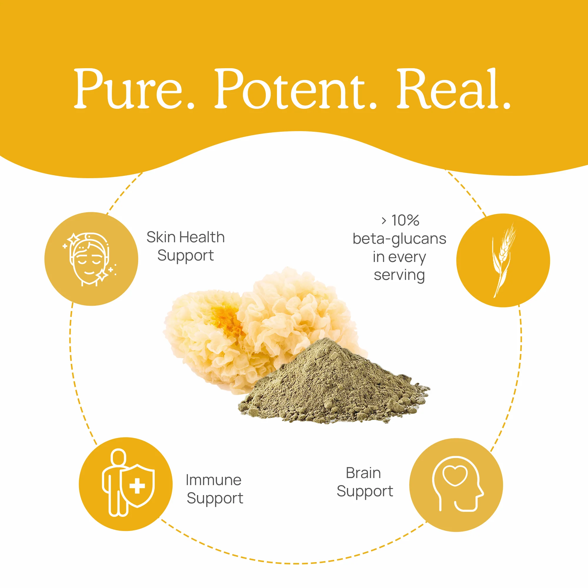 Organic Tremella Mushroom Extract Powder for Pets - Image 5