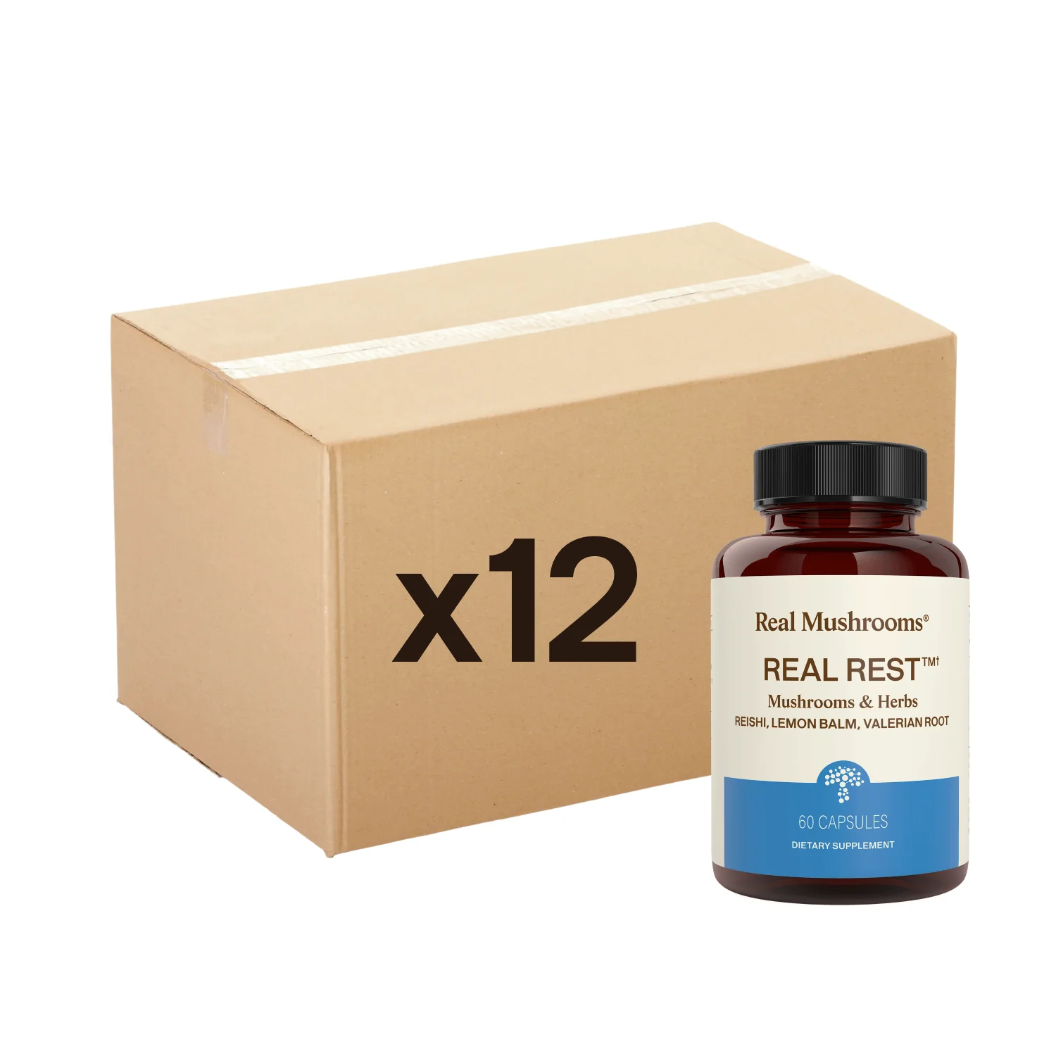 RealRest - 12 Units