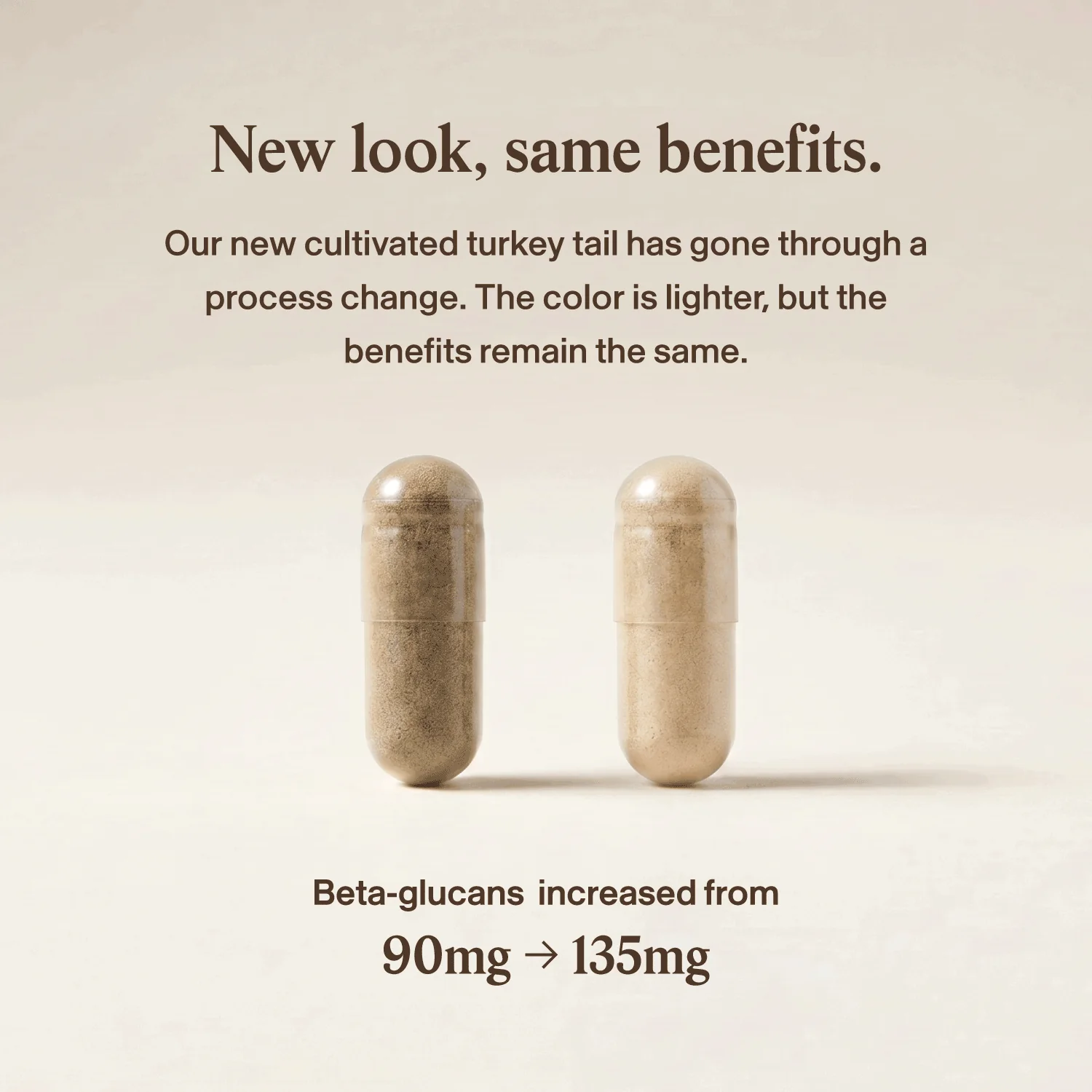 Turkey Tail Extract Capsules for Pets - Image 4