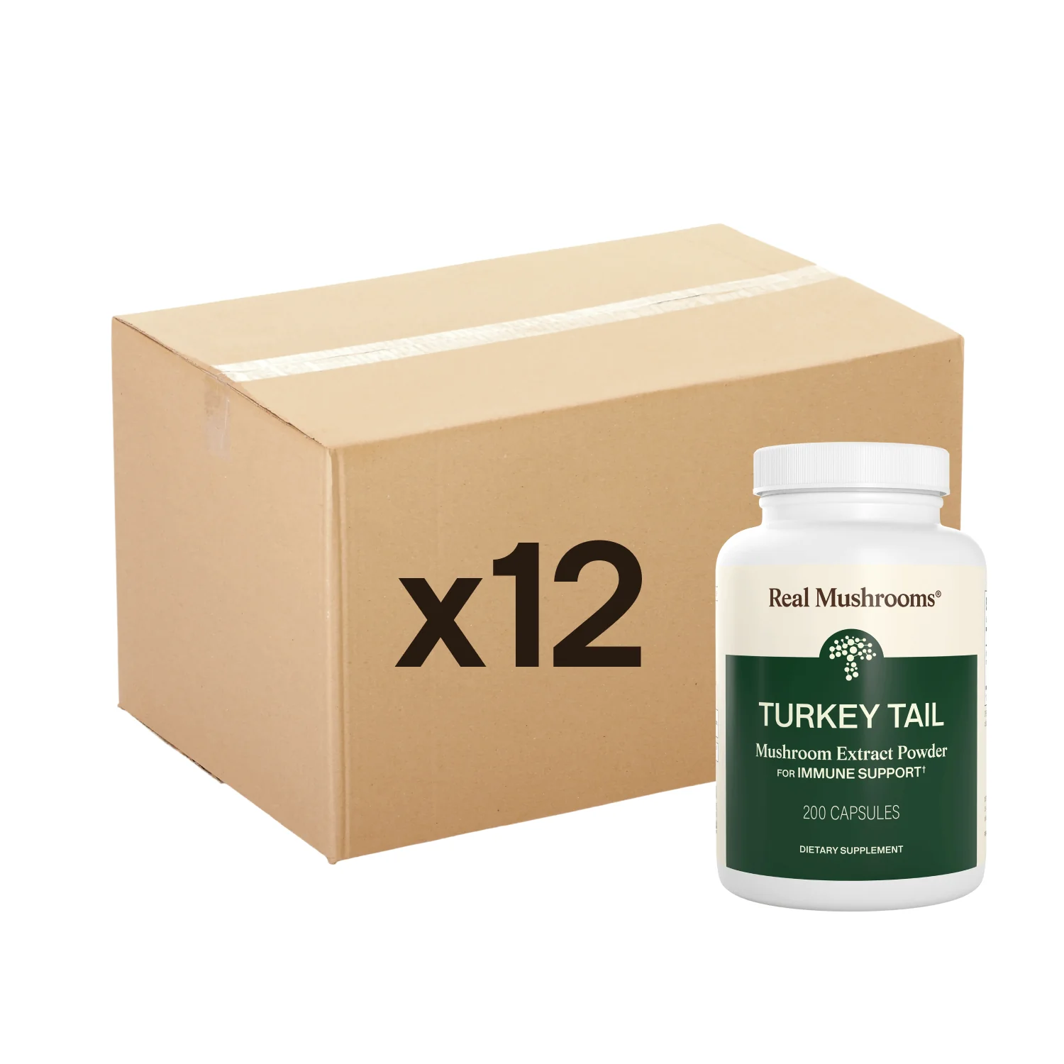 Turkey Tail Capsules - 12 Units - Image 10