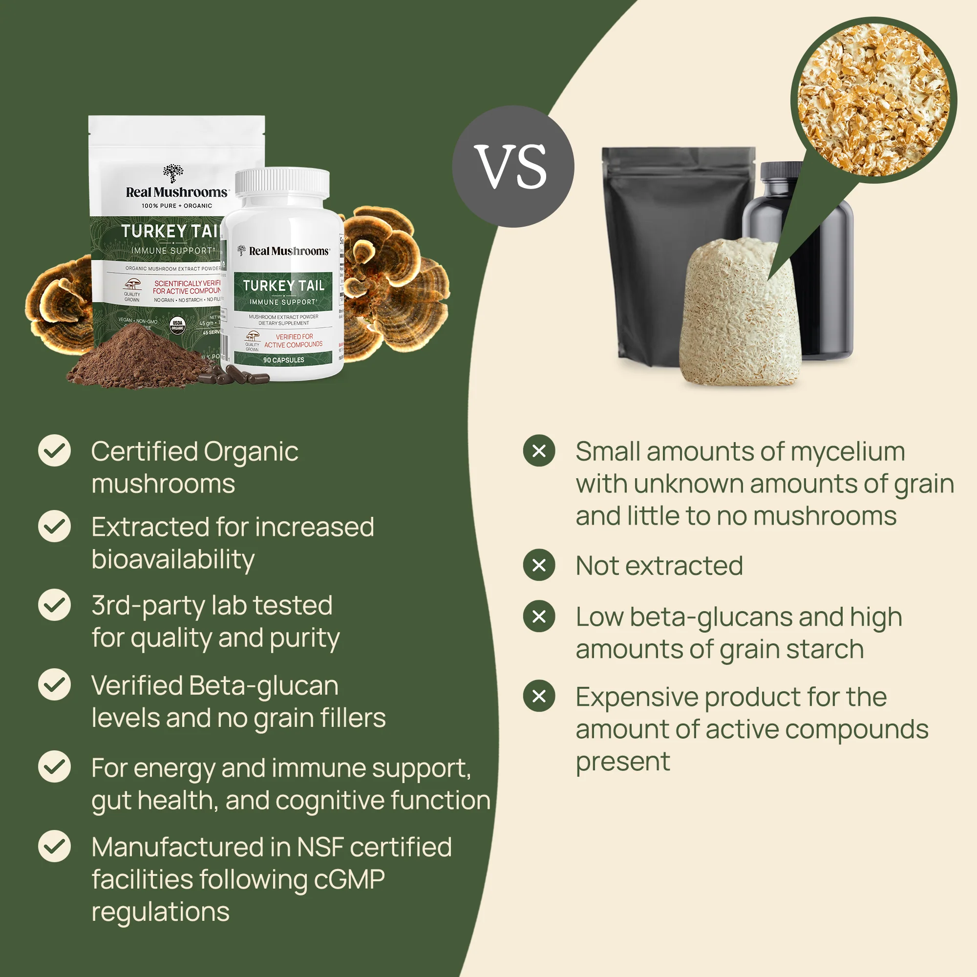 Turkey Tail Mushroom Extract Powder for Pets - Image 4